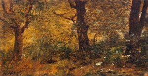 Studie von Holz von Giuseppe or Joseph de Nittis