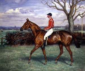 Ein Hindernisrennen mit Jockey