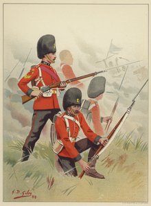 Die 87., Princess Victorias (Royal Irish Fusiliers) von Godfrey Douglas Giles