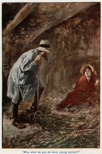 Illustration für Adam Bede von Gordon Frederick Browne