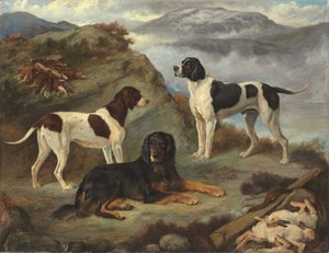 Sherry, Ranger und Glen, drei Jagdhunde in einer Landschaft