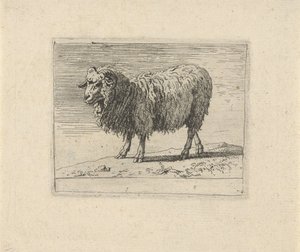 Widder von Govert van der Leeuw