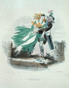 Kräuterhändler stiehlt die Goldlackblume, aus 