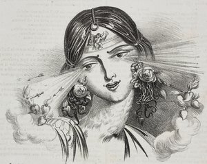 Weibliche Schönheit, Karikatur von Jean-Jacques Grandville, Lithographie von Gaetano Riccio aus Poliorama Pittoresco, Nr. 20, 24. Dezember von Grandville