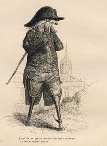 Invalider Hahn vor dem Invalidenhotel in Paris. Vignetten illustriert von JJ Granville. Gravur signiert von Andrew, Best und Leloir im Teil "Die Tierärzte" geschrieben von Pierre Bernard in "Szenen aus dem privaten und öffentlichen Leben der Tiere". Paris,