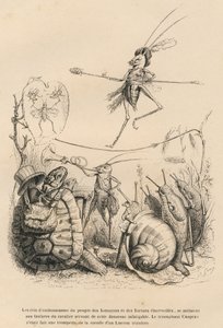 Grille spielt Trompete vor einer Schildkröte, einer Schnecke und Schnecken. Über ihm balanciert eine andere Grille auf einem Faden. Vignetten illustriert von JJ Granville. Gravur signiert Godard in dem Teil "Die Abenteuer eines Schmetterlings"