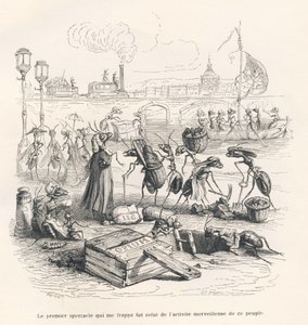 Ameisen in voller Aktivität an den Ufern der Seine. Vignetten illustriert von JJ Granville. Gravur signiert von Porret im Teil "Reise eines Spatzen aus Paris" geschrieben von George Sand in "Szenen aus dem privaten und öffentlichen Leben der Tiere". Paris, von Grandville