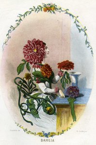 Illustration für 