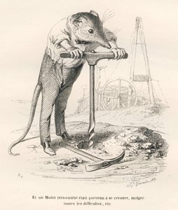 Maus durchbohrt den Boden. Vignetten illustriert von JJ Granville. Gravur signiert Breviere im Teil "Erinnerungen einer alten Krähe" geschrieben von PJ Stahl in "Szenen aus dem privaten und öffentlichen Leben der Tiere". Paris, J. Hetzel und Paulin von Grandville