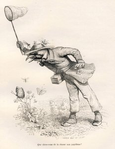 Vogel jagt Schmetterlinge. Vignetten illustriert von JJ Granville. Gravur signiert Andrew, Best und Leloir in dem Teil "Ein Fuchs in der Falle" geschrieben von Charles Nodier in "Szenen aus dem privaten und öffentlichen Leben der Tiere". Paris, J. Hetzel von Grandville