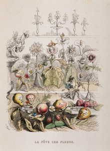 Das Blumenfest - Zeichnung von Grandville von Grandville