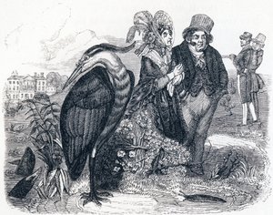 Der Reiher - Fabeln von La Fontaine von Grandville