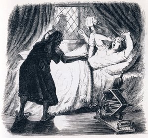Die alte Dame und die zwei Dienerinnen von Grandville