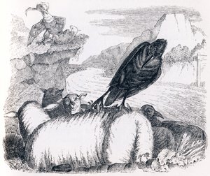 Der Rabe, der den Adler nachahmen wollte - Fabeln von La Fontaine von Grandville