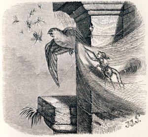 Die Spinne und die Schwalbe - Fabeln von La Fontaine von Grandville