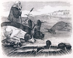 Die zwei Hunde und der tote Esel - Fabeln von La Fontaine von Grandville