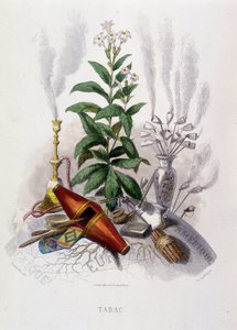 Tabakpflanze und Rauchutensilien - in „Animierte Blumen“ von Grandville von Grandville