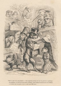 Hier ist, was gerade erschienen ist. Katze und Vogel verkaufen das vorliegende Buch für sechs Sous. Illustrierte Vignetten von JJ Granville. Gravur signiert Andrew, Best und Leloir im Prolog "Parlamentarische Zusammenfassung" geschrieben von PJ Stahl in "S