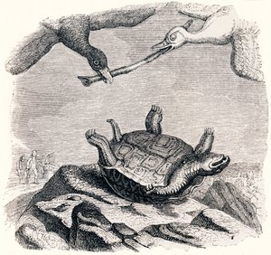 Die Schildkröte und die zwei Enten - Fabeln von La Fontaine