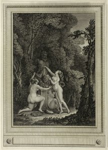 Die gewissenhaften Nymphen von Gérard Vidal