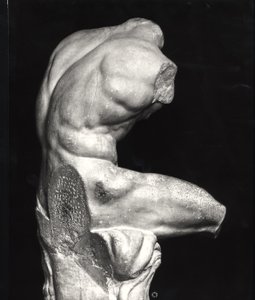 Belvedere-Torso von Greco Roman Greco Roman