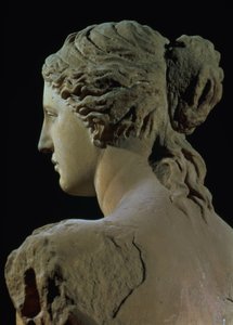 Venus von Milo (Detail)