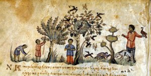 Falkenjagd zur Vogeljagd - in „De Venatione“ von Oppianus, griechisches Manuskript aus dem 13. Jahrhundert. Biblioteca Marciana. Venedig