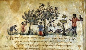 Jagd mit dem Falken und Vogelnester fangen. Griechisches Manuskript von Oppianus De Venatione. 13. Jahrhundert