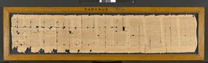 Ibis-Zauber aus Papyrus 121, 3. Jahrhundert