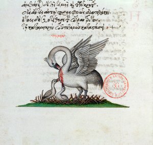 Ms 3401 Ein Pelikan, der seine Brust durchbohrt, um seine Jungen zu füttern, aus einem Bestiarium von Manuel Philes, 1566