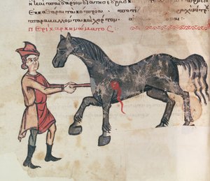 Ms Grec 2244 fol.37v Operation an einem Pferd