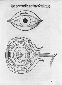 Studie des menschlichen Auges (Anatomische Tafel aus Margarita Philosophica von Gregor Reisch, Basel 1517)