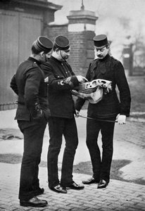 Eine veterinärmedizinische Demonstration, 1st Life Guards, 1896