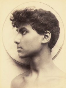 Unbekanntes Bild von Guglielmo Plüschow