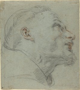 Kopf des Heiligen Franziskus