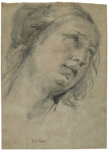 Der Kopf einer jungen Frau, die nach oben schaut, ca. 1609