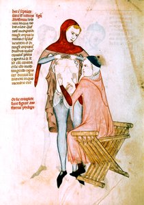 Arzt untersucht den Patienten von Guido da Vigevano da Pavia