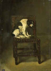 Ein Hund auf einem Stuhl