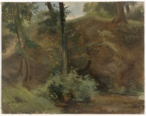 Bäume in einer Dünenlandschaft