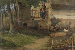 Schweine im Hof
