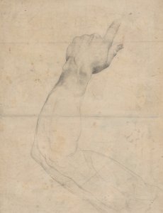 Studie eines Arms (verso)