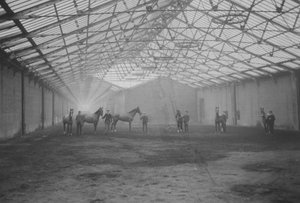 Pferde und Stallburschen im Tan Gallop, Welbeck Estate