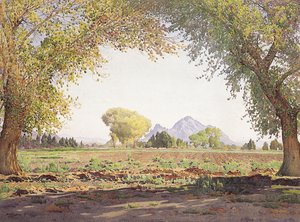Das Salt River Valley von Gunnar Widforss