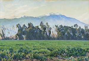 Die Sierra Nevada Berge von Gunnar Widforss