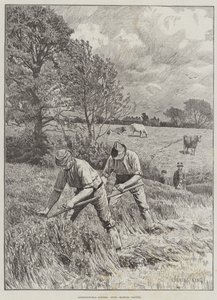 Landwirtschaftliche Szenen, Juni, Klee mähen von Gunning King