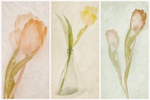 Aquarell-Tulpen-Triptychon