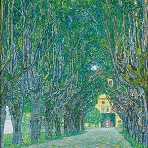 Allee im Schloss Kammer Park