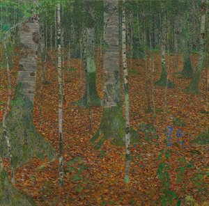 Birkenwald, 1903 von Gustav Klimt