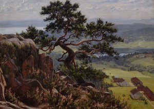 Blick über Vardåsen