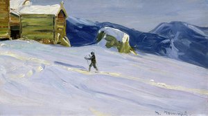 Winterabend in Vaga mit Skifahrer